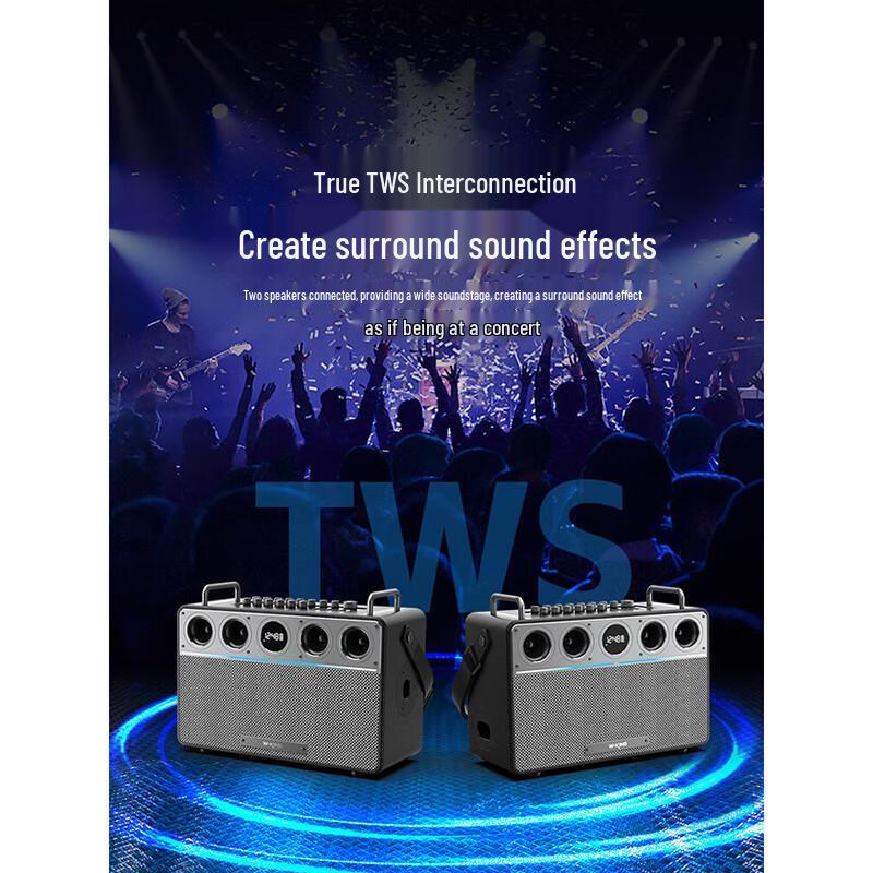 W-King T16L 160W Outdoor Karaoke Bluetooth Speaker