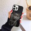 British shorthair cat Phone Case for iPhone 17 Air 16 PRO MAX 15 14 PLUS 11 12 13 Back Cover Fundas Shell