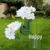 Waterproof Solar Hydrangea Garden Light - Outdoor Decorative Lawn Lamp
