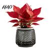 Small Flower Pot for Desk Self Watering Planter with Wick Rope Indoor Plants, Double Layer Modern Decorative Container Transparent Hydroponic Planter,