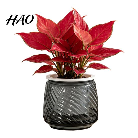 Small Flower Pot for Desk Self Watering Planter with Wick Rope Indoor Plants, Double Layer Modern Decorative Container Transparent Hydroponic Planter,