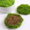 Bionic Moss Bonsai Ornament - Landscaping Turf Arrangement for Lawn and Paving Decoration