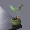 Mini Eisriss-Glasierter Pflanztopf Kreativer Sukkulenten-Pflanztopf Bonsai-Vase Schreibtisch-Dekoration Hausdekoration Gartenkunst
