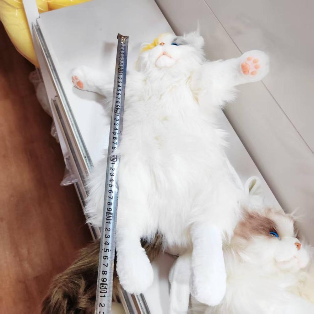 Tříkvětá kočka simulační kočka panenka panenka panenka plyšová hračka hadrová panenka kočka batoh dárek k narozeninám