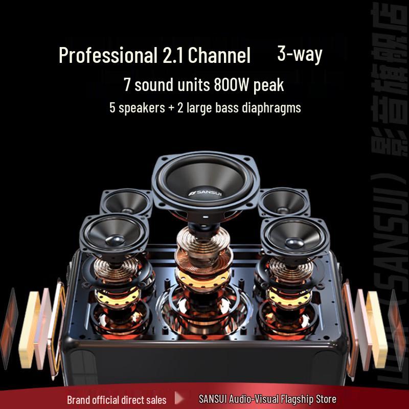 SANSUI T27 Portable KTV Bluetooth Speaker with Wireless Microphone (CN Version)