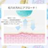 KALOS BEAUTY TECHNOLOGY Faclea Facial Cleansing Brush Pastel Purple (Facial Electric Pore Cleansing)