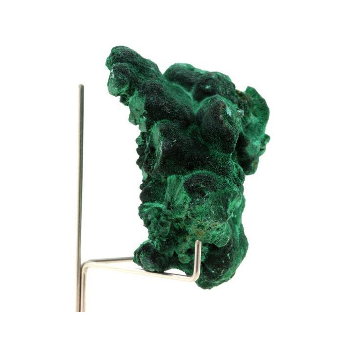 Pierres et Minéraux. Malachite. 557.5 ct. Katanga, Congo.