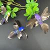 6/5pcs Garden Landscape Decor Simulation Birds Photography Props with Clip Foam Feathers Birds Colorful Home Decor