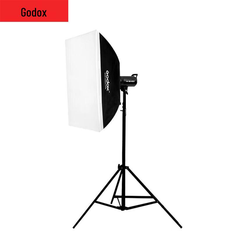 Godox SK400II 400W 2.4G Wireless Studio Flash Kit