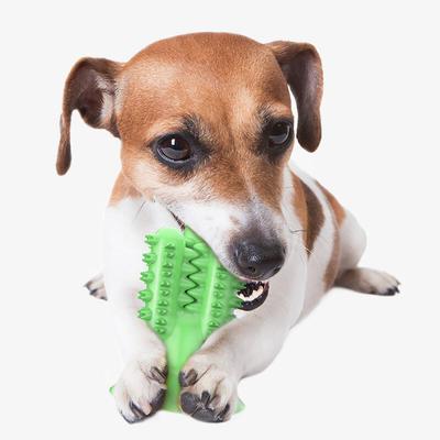 Green Cactus Dog Tartar Remover Chikatoy (9x13cm)