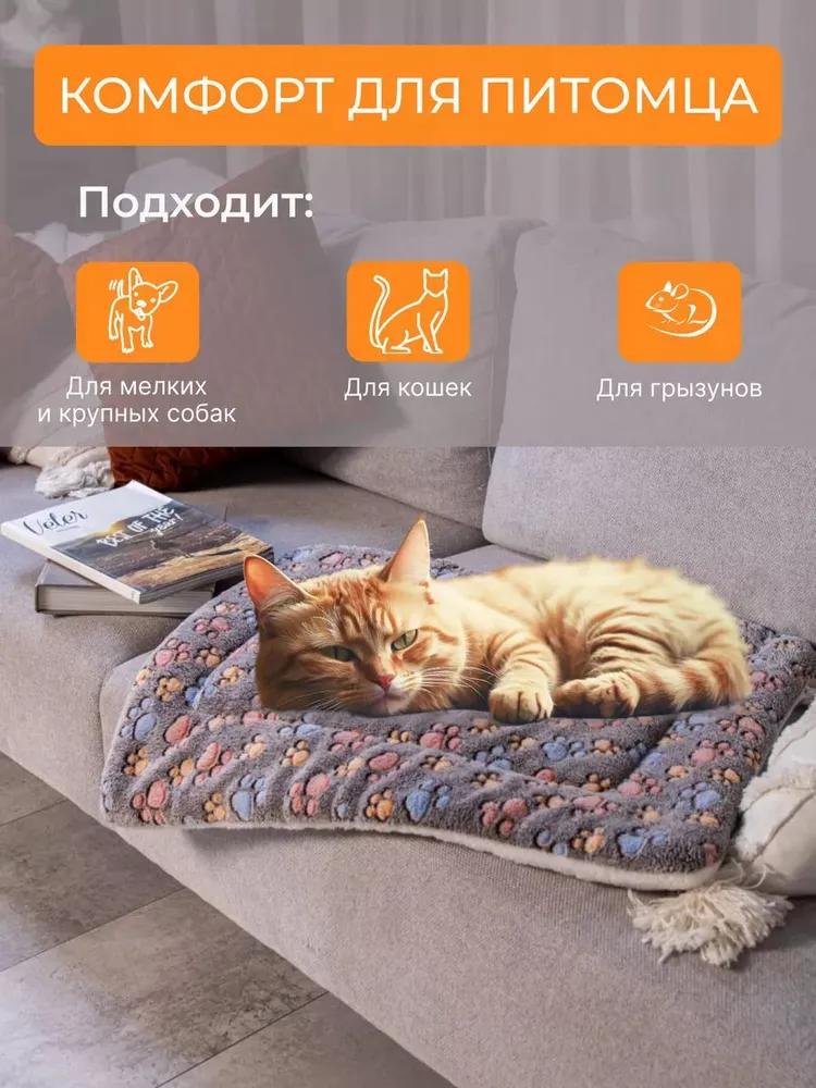 Universal bedding for cats and small dogs, 61x41 cm, warm blanket and soft mattress, double-sided fleece