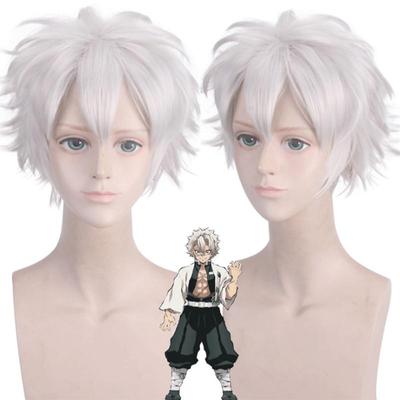 Anime 28cm Division Rap Battle Hypnosis MIC Aohitsugi Samatoki Krátká stříbrná bílá paruka Cosplay paruka ze syntetických vlasů odolná vůči teplu