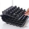 Thickened Multi-Hole Seedling Tray for Strawberries and Vegetables