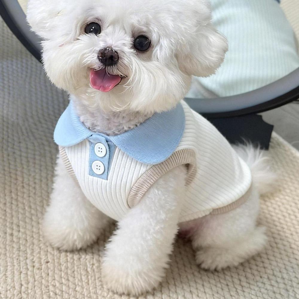 Breathable Puppy T-shirt Thin Summer Dog Clothes Pet Two Leg Clothes  Spring Summer XS синий