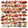 50 Cute Waterproof Watercolor Mushroom Stickers - Creative Decorative Stickers for Suitcases & Computers