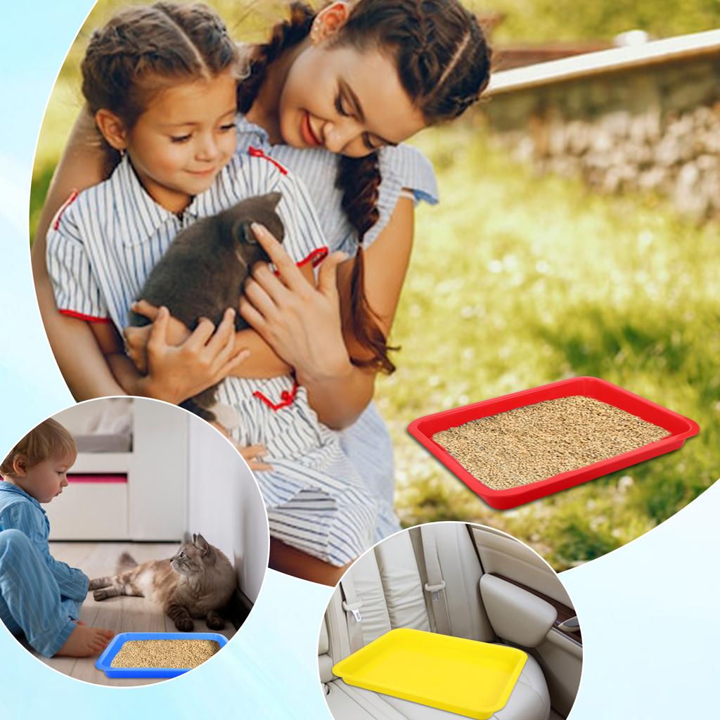 3 Pezzi Vaschetta Lettiera per Gatti 17.3X13.3X2.2 Pollici Lettiera Aperta per Gatti Vaschetta Lettiera per Gattini Per Gatti Coniglio Cavia Forniture per Piccoli Animali Domestici, 3 C