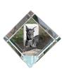 Dobermann, Doberman Pinscher, Dobie – Crystal Cube with a Photo, Photo of a Horse In Crystal |