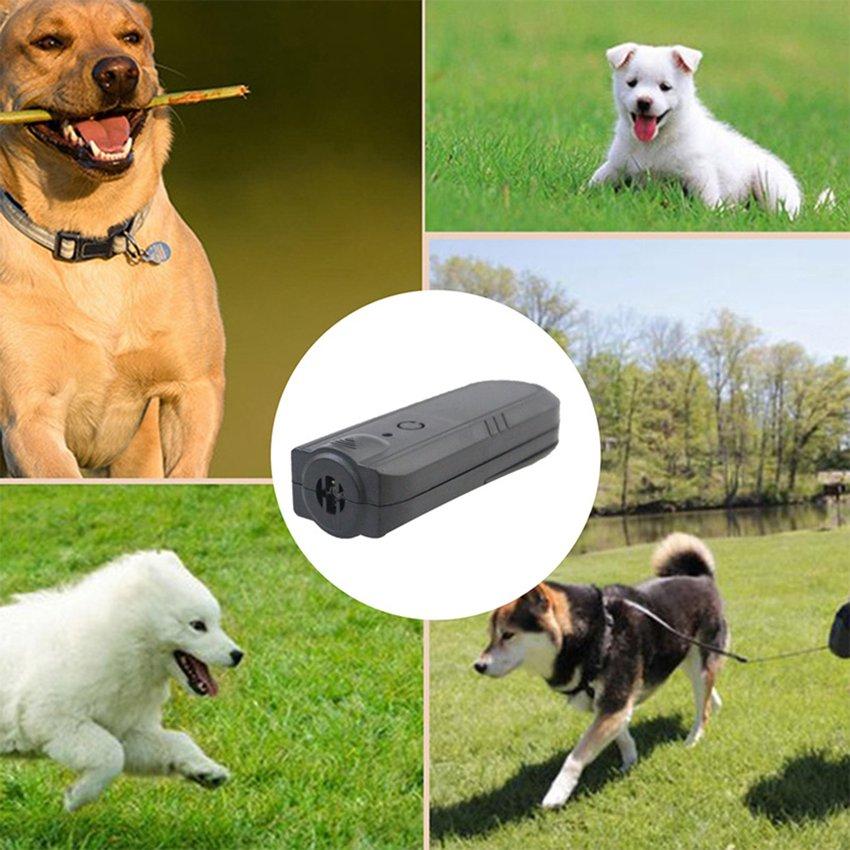 wireless dog trainer