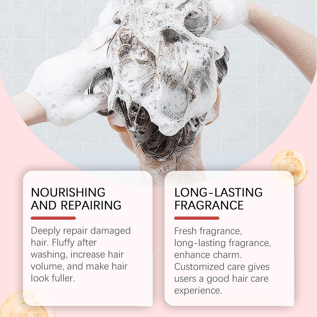 Hoegoa Solid Shampoo Bar For Nourishing Hair Care And Scalp Cleansing 100g