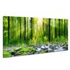 Morning Sunrise Green Trees Landscape Sunshine Over Forest Photograph Canvas Paintings And Prints For Home Wall Decor Frameless