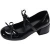 Silver Retro French Thick High-heeled Light-mouth Single Shoes Women's Summer 2025 New Skirt Versatile Height-increasing Mary Jane Shoes