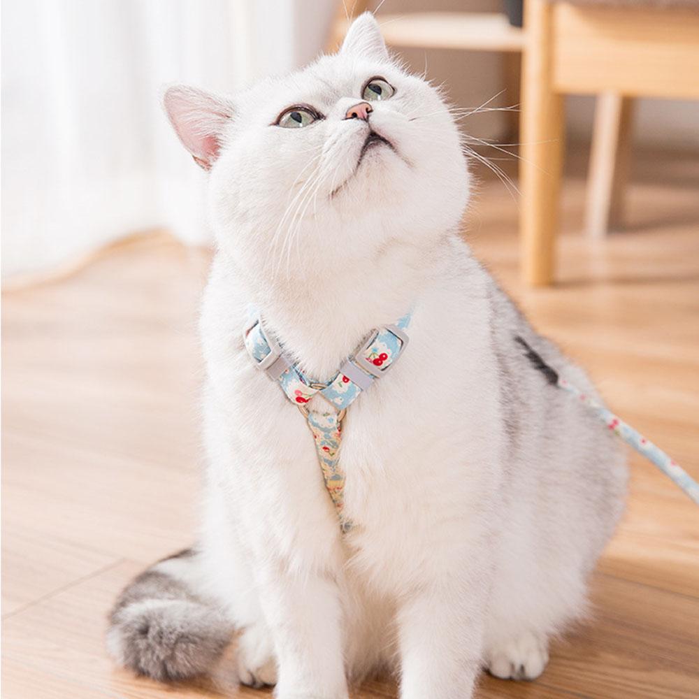 Outdoor Walking Adjustable H-shped Cat Vest Dog Harness and Leash Pets Leash Belt Cat Harness  Set