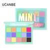 UCANBE 15-Color Macaron Matte Eyeshadow Palette for Beginners