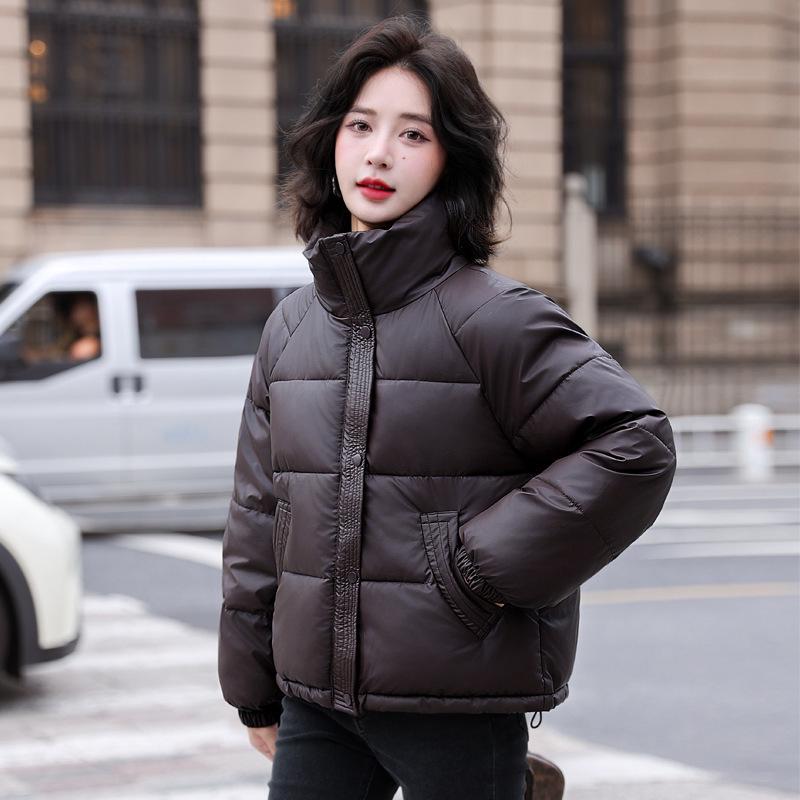 Women's Korean Style Thickened Down Jacket - 2024 Winter Fashion Short Stand-Up Collar Coat.