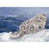 5D DIY diamantová malba Zimní sada pro vyšívání sněžným leopardem Úplná diamantová vyšívání drahokamu Obrázek Mozaika Domácí dekorace