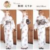 Yukata Light Transparent Floral Easy To Wear by One Person Kyoto Classic FREE (Dita) Women's 5-Piece Set Blue, Blue, Brown, White, Watercolor,