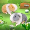 1 Piece 15/20Cm Dutch Pig Mouse Stuffed Animal Doll Home Decoration Cute Guinea Pig Plush Toys Birthday Gift For Friends And Kid