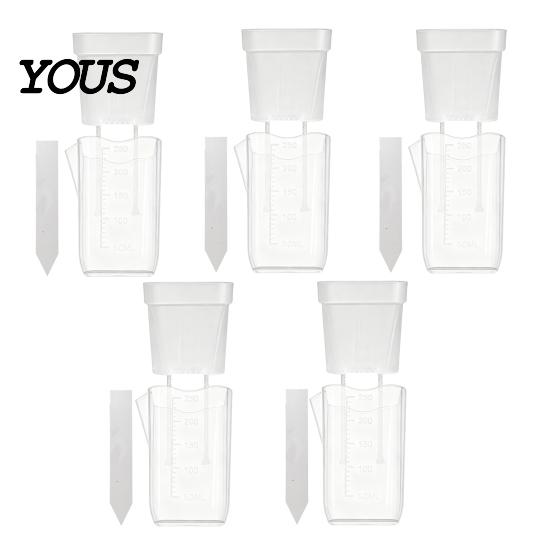 Automatic Watering Flower Pot Mini Self Pots with Wick, Clear Plastic Planters Drainage Holes & Water Level Indicator for Indoor Plants