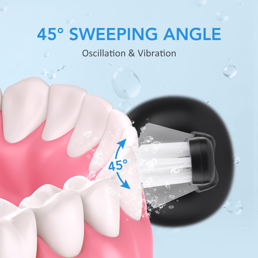 Electric Rotating Toothbrush for Adults with Replace Brush Heads Deep Cleaning Rechargeable Smart Timer Oral Teeth Whitening