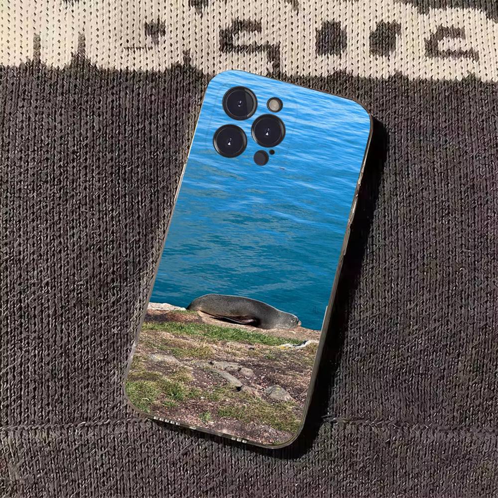 

Seal Sea Phone Cases For iPhone 17 16 15 14 13 12 11 Pro Max Plus Luxury Camera Protection Plastic iPhone16
