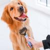 Professional Pet Deshedding Brush Dog Hair Remover Pet Fur Knot Cutter Puppy Cat Comb Brushes Dogs Grooming Shedding Supplies
