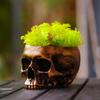 Bronze Skull Desktop Storage Ornaments Skull Flowerpot Halloween Holiday Decoration Home Accessories