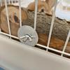 Natural Apple Wood Animal Chew Stick for Rabbits Chinchillas Parrots Anti Bite Molar Toy Cage Wooden Stand Station Exercise