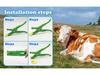 Cattle Ear Tag with Laser-Engraved Text for Farm Identification