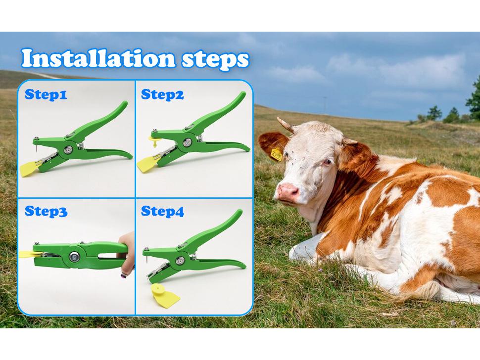 Cattle Ear Tag with Laser-Engraved Text for Farm Identification