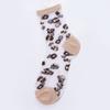 Chaozhu Spring Summer Transparent Crystal Silk Socks Women Sexy Leopard Grain Fashion Casual Breathable Calcetines Mujer