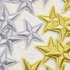 10Pcs Golden Silver Star Embroidered Patch Repairh Stick Clothes Badge Crafts Patches Costume Accessories