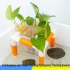Hydroponic Plant Basket for Aquatic Tanks - Pothos Holder & Landscaping Decor
