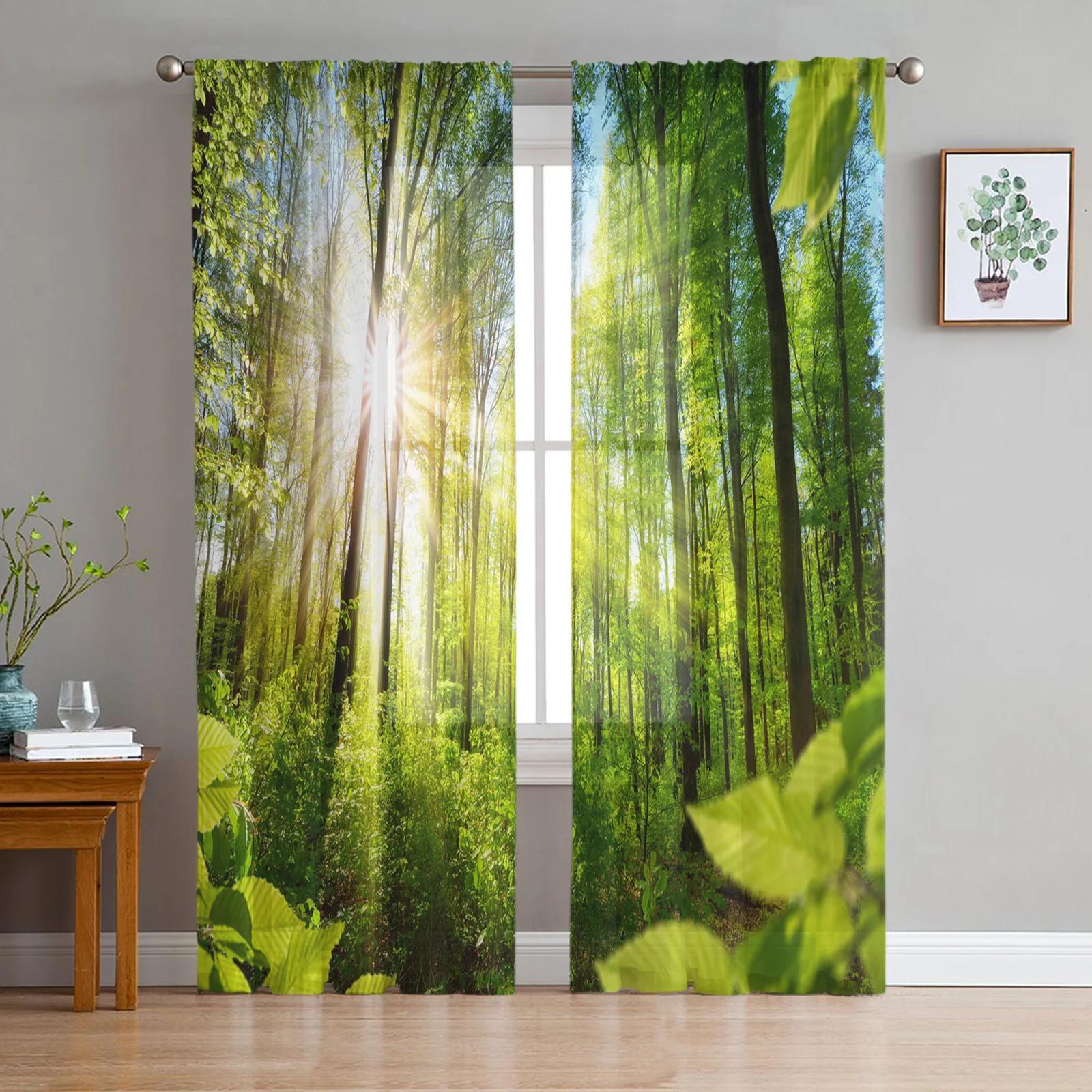 

Waterfall Forest Nature Scenery Tropical Tulle Sheer Window Drapes for Living Room Bedroom Sheer Fabric Organza Drapes Drapes W135 x H115cm x1&Rod Pocket