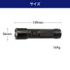 ELPA LED 450 with Hand Battery Battery Level Silver DOP-EP540 Flashlight, Waterproof, Lumens, Strap, Operated, Indicator,