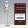 Korean Style Flat Body Female Mannequin with Wide Shoulders for Women's Clothing Display