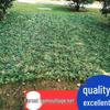 Anti-Drone Camouflage Net Sunshade – Outdoor Sun Protection & Satellite Blocking Cover