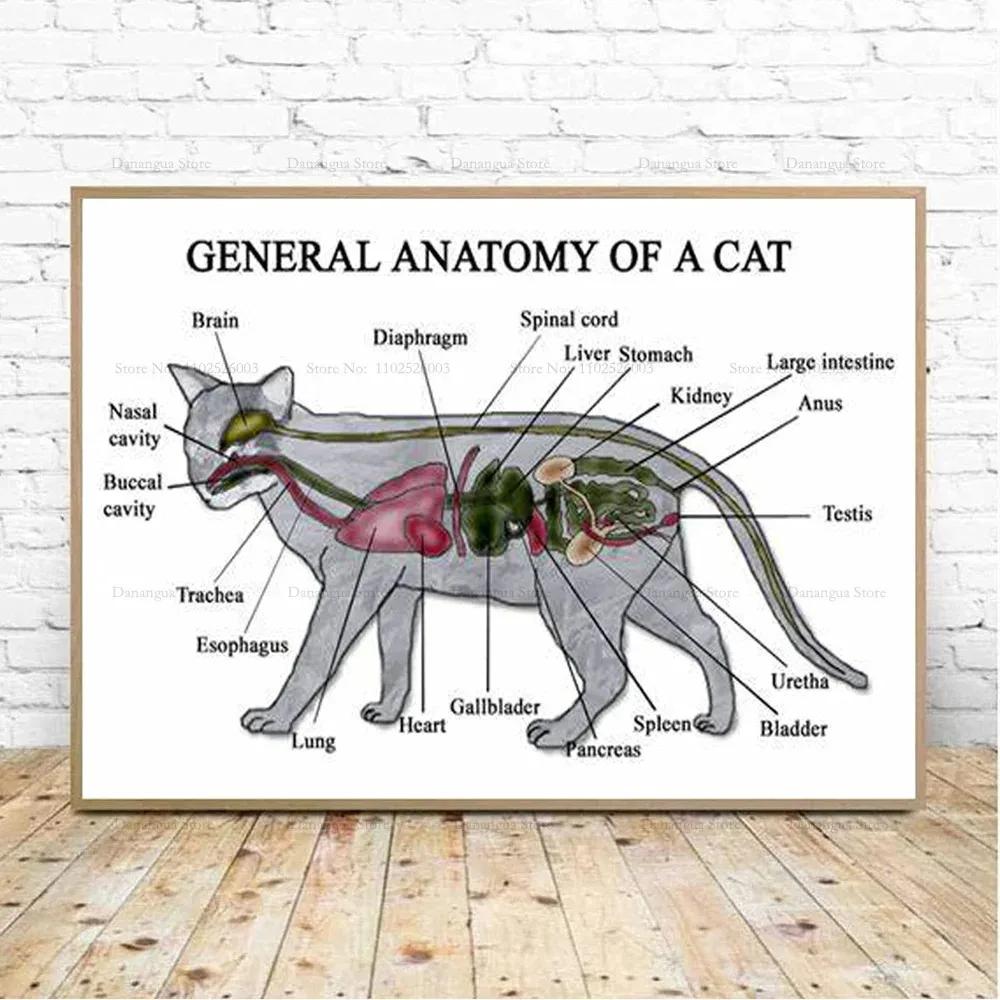 Abstrakcyjna Figura Tancerki Obraz na Płótnie Druki i Plakaty Dziewczyna Baletnica Sztuka Ścienna Obrazy Do Salonu Dekoracja Domu Cuadros