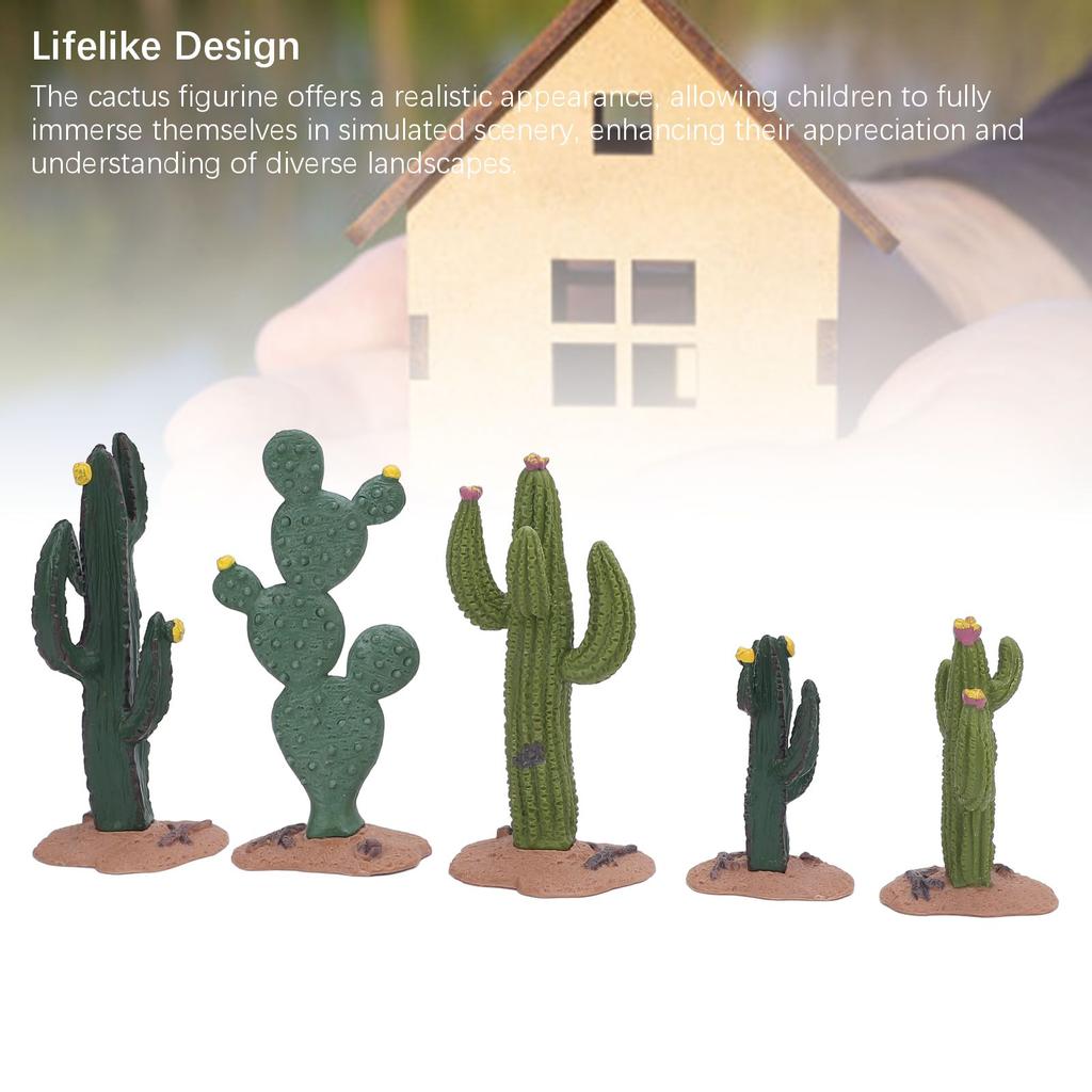 5pcs Artificial Mini Cactus Figurines Lifelike Simulated Cacti Plant Ornament for Sand Table Decoration