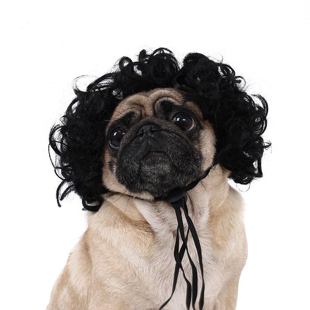 Kreative Lustige Haustierperücke Verstellbares Afro-Design Hundeperücke Elastisches Banddesign Katzenperücke Haustier Cosplay Requisiten Fotografie Scherzgeschenke