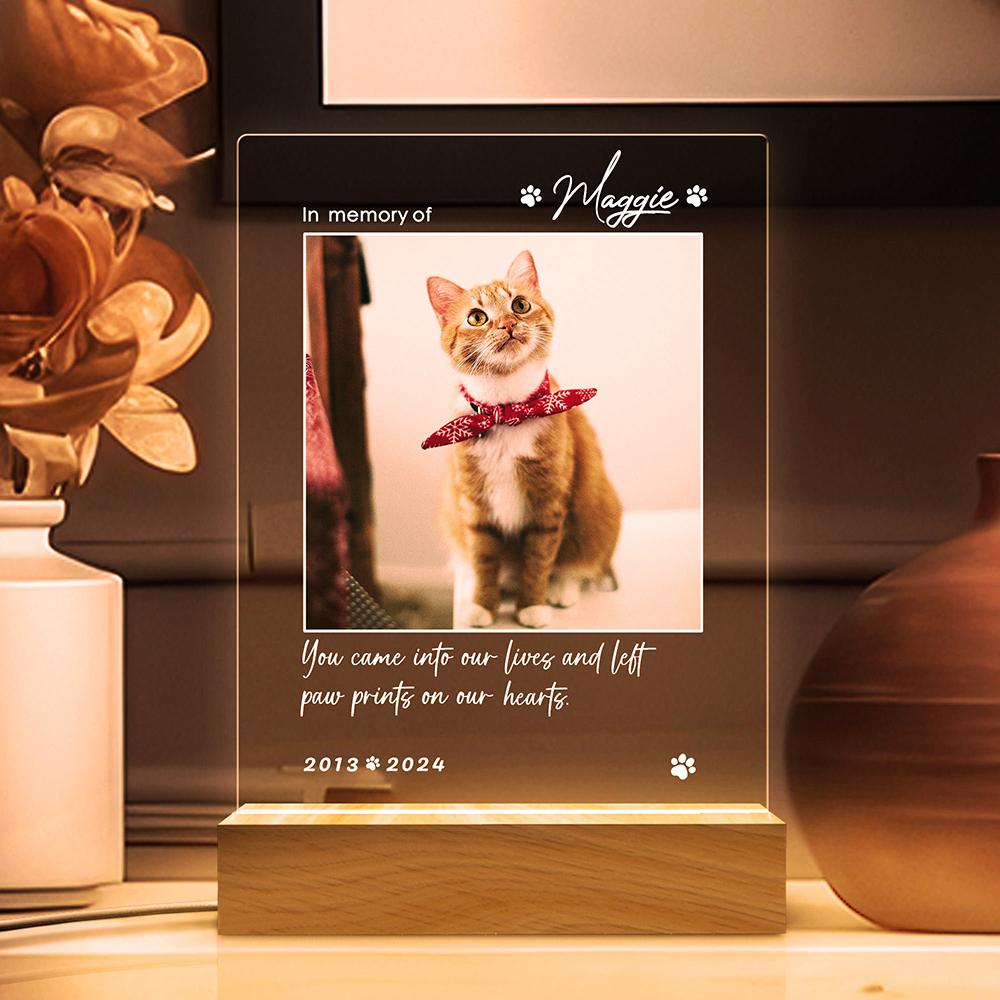 Custom Night Light Pet Memorial Plaque For Dog Cat Personalized Pet Growth Ornament Engrave Pet Info Record Lovely Daily Moment